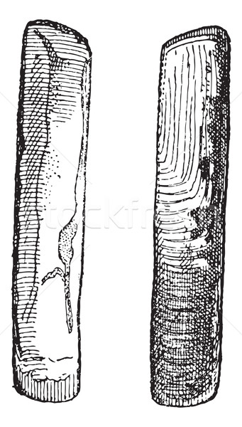 Zwei Jahrgang Gravur alten graviert Illustration Stock foto © Morphart
