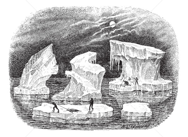 Icebergs, vintage engraving. Stock photo © Morphart