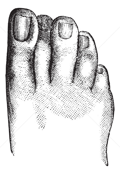Hatalı pozisyon ikinci parmak bağbozumu oyma Stok fotoğraf © Morphart