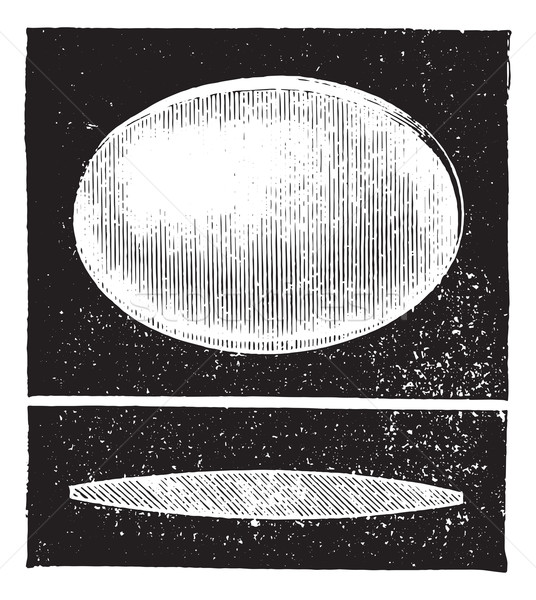 Periscope convex glass, vintage engraving. Stock photo © Morphart