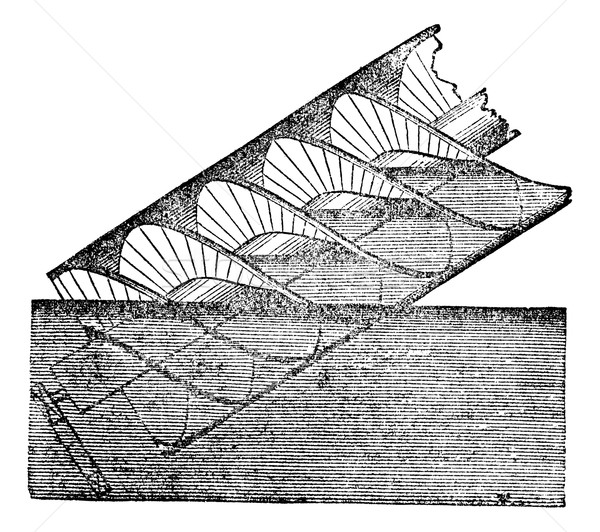 Stock photo: Archimedes screw or Archimedean screw, vintage engraving.