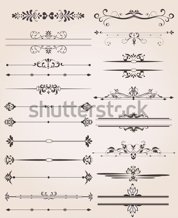 Various vintage label and border elements with ornate elegant re Stock photo © Morphart