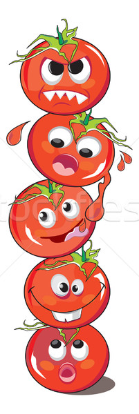 Tomato or Solanum lycopersicum, illustration Stock photo © Morphart