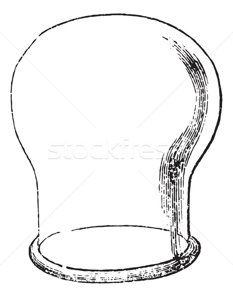 Suction cup or Sucker, vintage engraving. Stock photo © Morphart