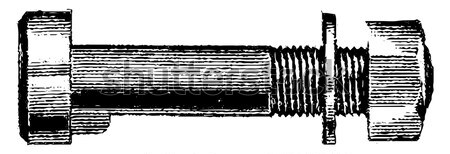 Wiederholung Schusswaffe Gewehr Jahrgang graviert Illustration Stock foto © Morphart