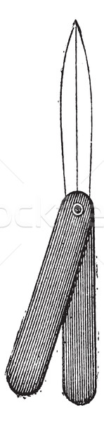 Skalpell Jahrgang Gravur graviert Illustration Wörterbuch Stock foto © Morphart