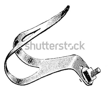 Fins, of an Eel or Anguilliformes, vintage engraving Stock photo © Morphart