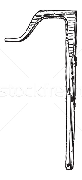 Valet, vintage engraving Stock photo © Morphart