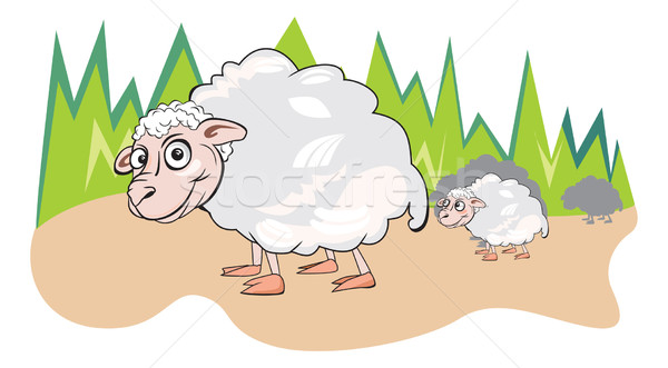 Sheep or Ovis aries, illustration Stock photo © Morphart