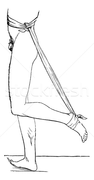 Gerät Fuß Bein Sehne Jahrgang graviert Stock foto © Morphart
