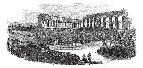 The ruins of temples at Paestum in Campania Italy vintage engrav Stock photo © Morphart