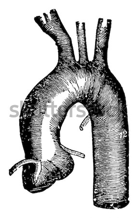 Tętnica vintage wyryty ilustracja muzyka stron Zdjęcia stock © Morphart