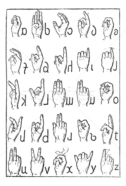 Alphabet of deaf-mutes, vintage engraving. Stock photo © Morphart