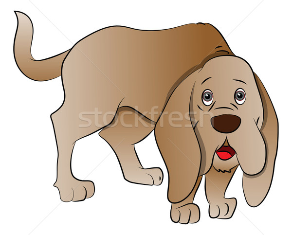 Vector of cute boxer dog. Stock photo © Morphart