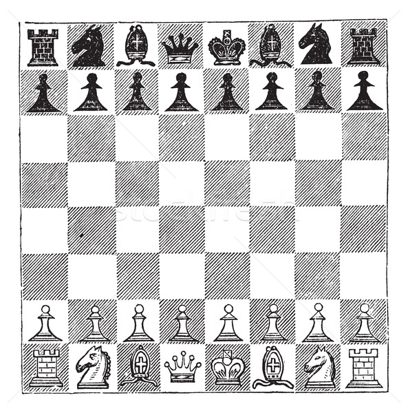 Chess, vintage engraving Stock photo © Morphart