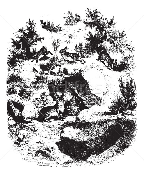 Et Stock Photos Stock Images And Vectors Stockfresh