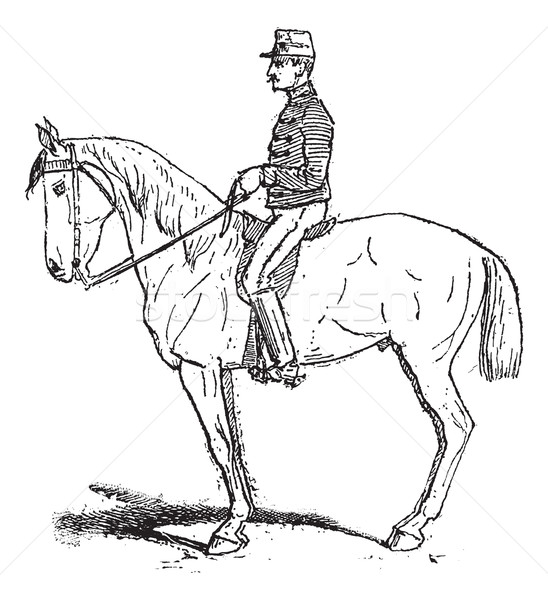 Wykonywania wzrost ruchliwość konia szkolenia vintage Zdjęcia stock © Morphart