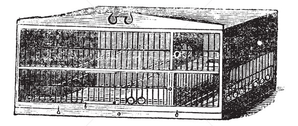 The compartment of cage vintage engraving Stock photo © Morphart