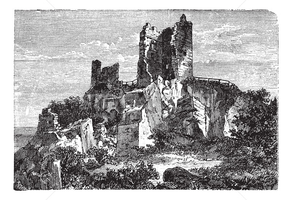 Ruin of Drachenfels Castle in Rhineland-Palatinate, Germany, vin Stock photo © Morphart