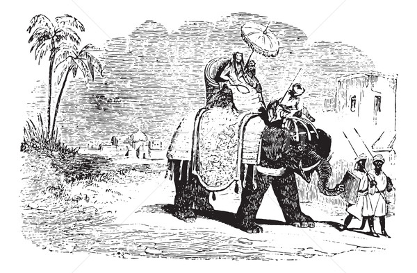 Tourists on an elephant ride, vintage engraving. Stock photo © Morphart