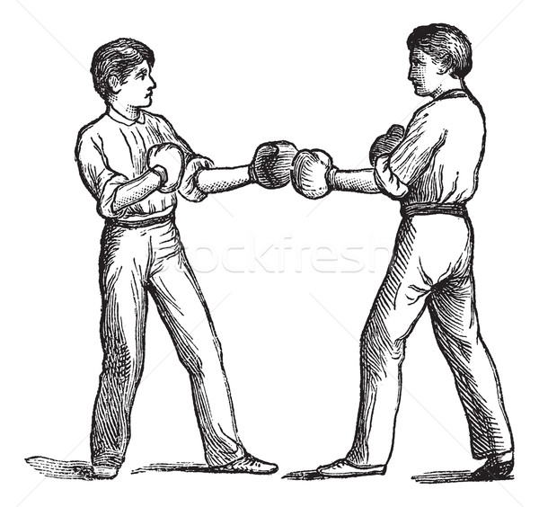 Two boxers in a fighting postion vintage engraving Stock photo © Morphart
