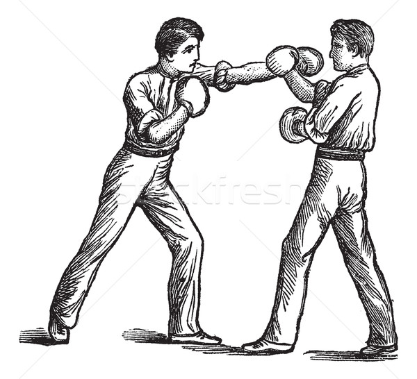 Two Boxers boxing vintage engraving Stock photo © Morphart