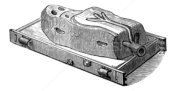 Mould, vintage engraving Stock photo © Morphart