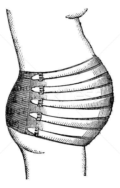 腹部的 教授 復古 雕刻 刻 插圖 商業照片 © Morphart