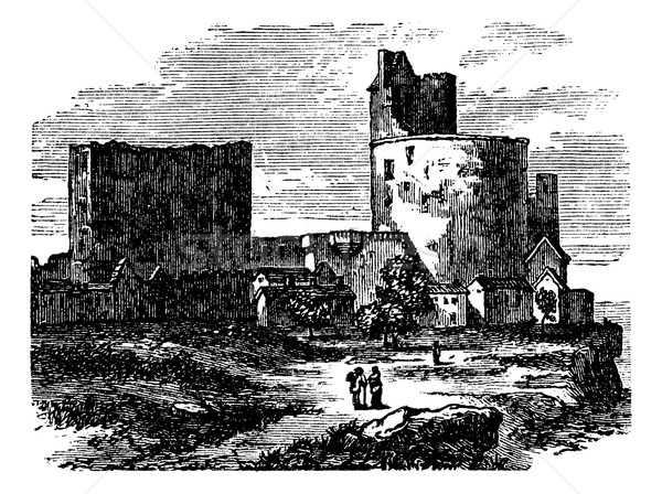 Castle - narbornne door and the treasure house vintage engraving Stock photo © Morphart
