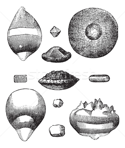 Different forms of hail vintage engraving Stock photo © Morphart