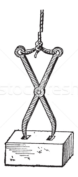 Pincer, vintage engraving Stock photo © Morphart