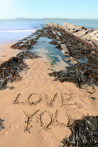 love you sand Stock photo © morrbyte