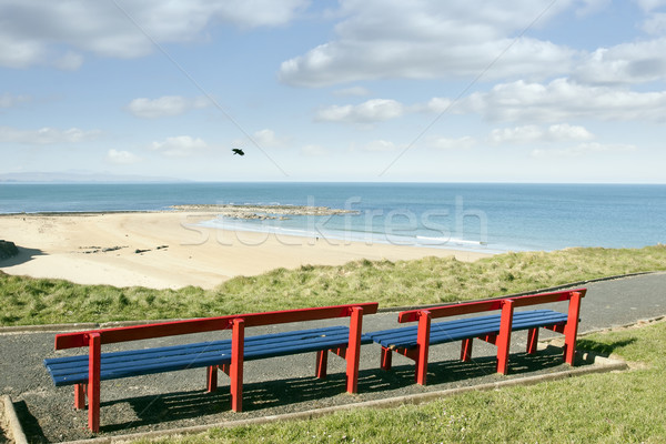 benches with views of Ballybunion beach and coast Stock photo © morrbyte