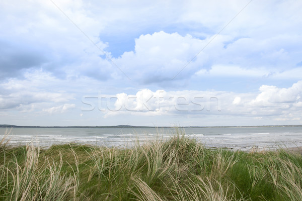 Dune de sable vue rivière nuages nature paysage [[stock_photo]] © morrbyte