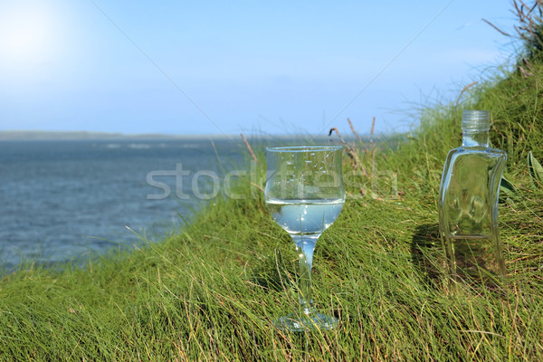 Temizlemek enerji cam şişe doğal Stok fotoğraf © morrbyte