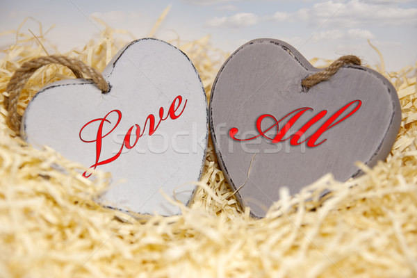 love all wooden hearts Stock photo © morrbyte