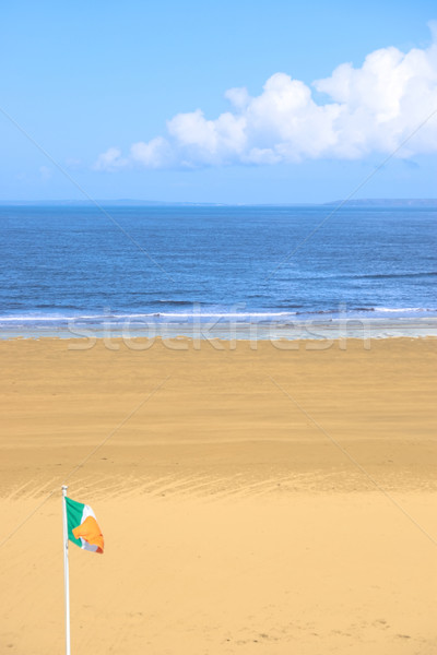 irish flag waving on the beach Stock photo © morrbyte