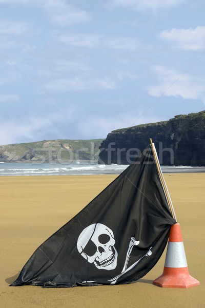 beach with jolly roger flag Stock photo © morrbyte
