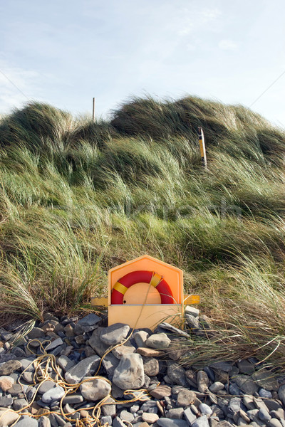 Stockfoto: Rotsen · kust · strand · hemel · gras · oceaan