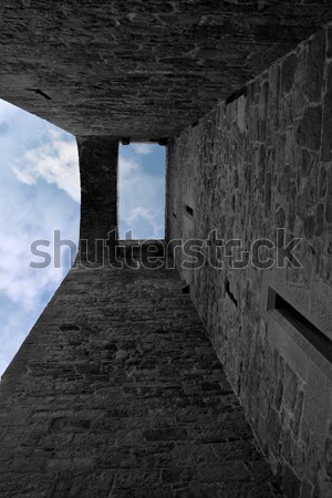 castle fortress Stock photo © morrbyte