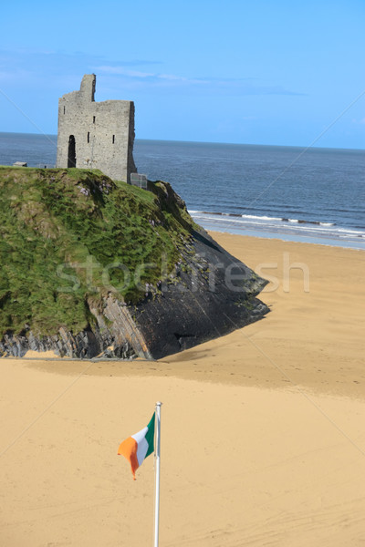 irish flag views Stock photo © morrbyte