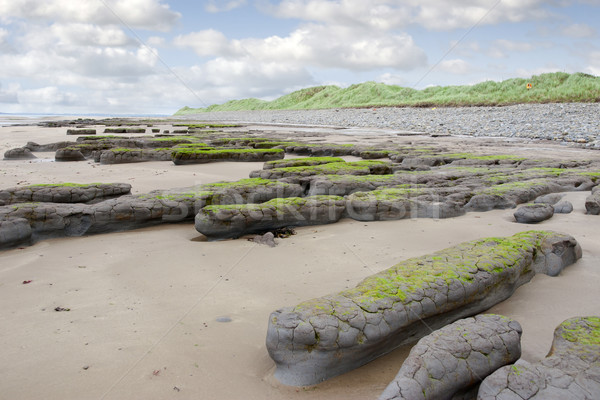 mud banks and dunes at Beal beach Stock photo © morrbyte