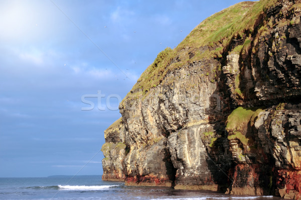 ballybunion beach cliff gulls flying Stock photo © morrbyte