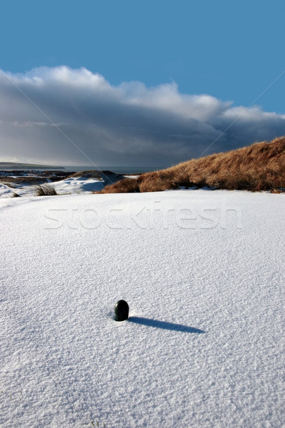 Groene golf sneeuw gedekt golfbaan links Stockfoto © morrbyte