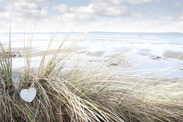 Bleu bois coeur plage amour [[stock_photo]] © morrbyte