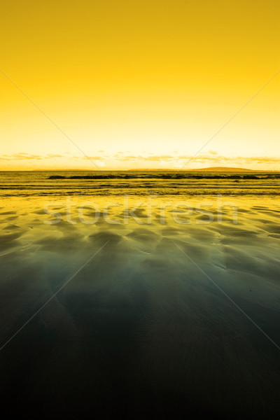 windswept sunset winter beach view Stock photo © morrbyte