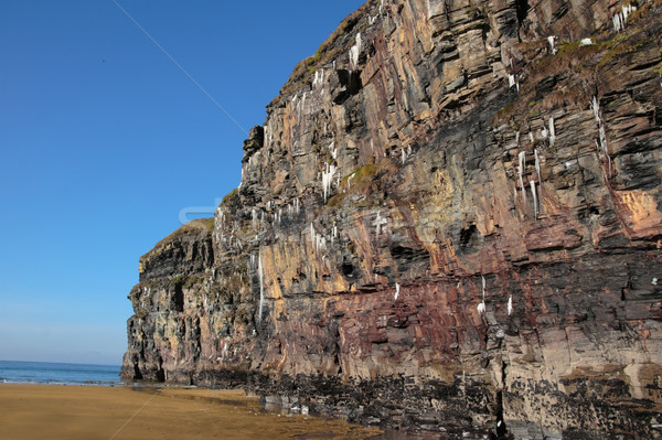 icicles melting on a beach cliff face Stock photo © morrbyte