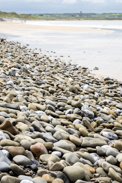 pebbled beach beside the links golf course Stock photo © morrbyte