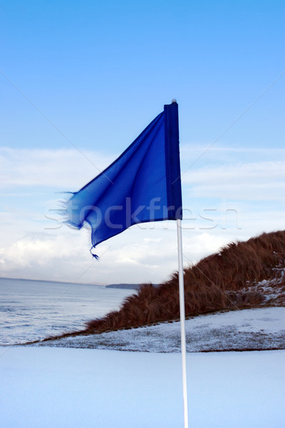 Foto stock: Campo · de · golf · verde · invierno · azul · bandera · nieve