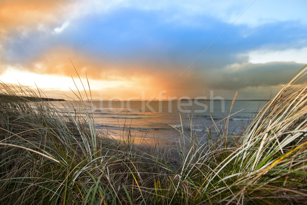 sundown view from the sand dunes of Beal Stock photo © morrbyte